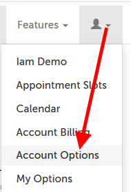 Arrow pointing from profile icon to "Account Options"